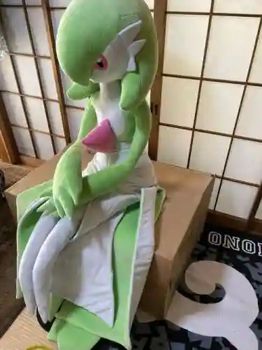 沙奈朵装备，沙奈朵用什么道具比较合适插图