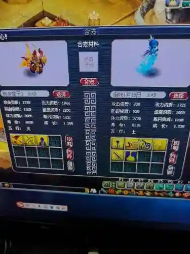 梦幻西游69夫妻金猪，梦幻西游69平民合宠技巧插图1
