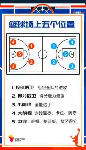 篮球最好的阵容搭配视频，篮球阵容位置图解插图1