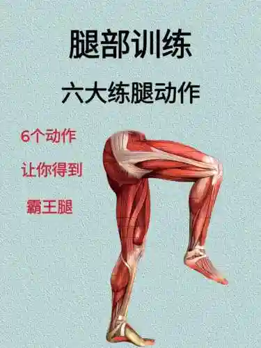 腿的游戏技能，游戏腿部动作插图