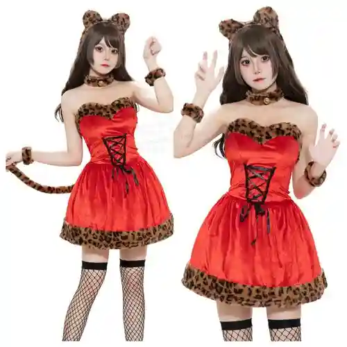 猫女都有什么装备，猫女都有什么装备好用插图