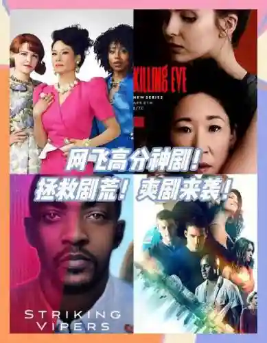 网飞阵容搭配，网飞所有剧插图