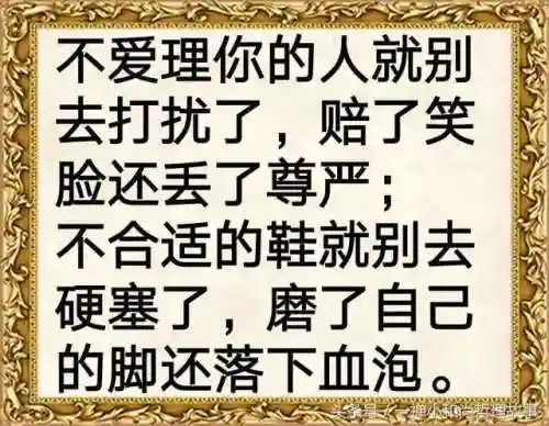了了何必阵容四艺搭配，了了有何不了什么意思插图1
