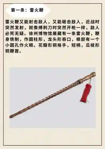 武器鞭子的名称，武器 鞭子插图1