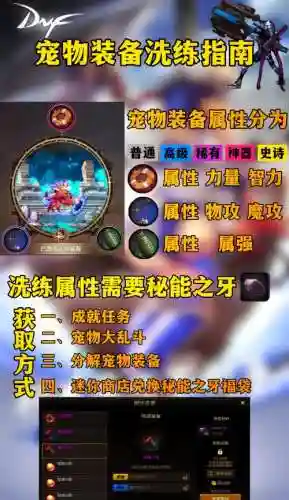 宠物装备三件提升，宠物装备三件提升攻略插图