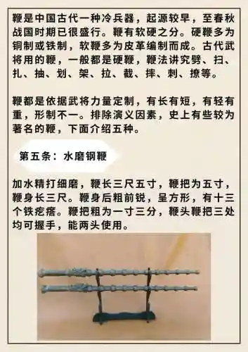 武器鞭子的名称，武器 鞭子插图