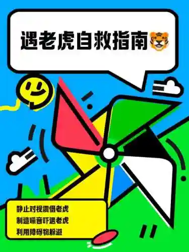 救援受困的小白虎攻略，救出被困的小老虎插图1