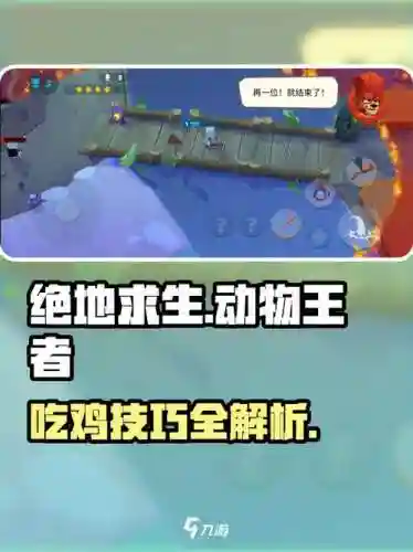 吃鸡攻略.，吃鸡攻略插图1