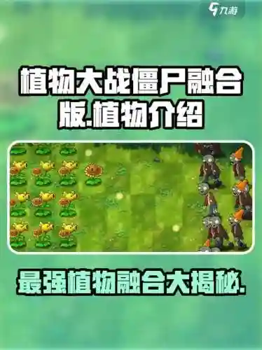 植物大战僵尸官方搭配阵容，植物大战僵尸官方搭配阵容攻略插图