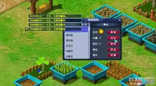 梦幻西游花圃可以获得的二级药，梦幻西游二级花圃和一级花圃区别插图