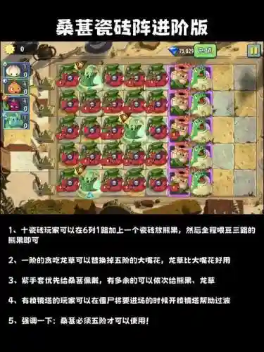 植物大战僵尸官方搭配阵容，植物大战僵尸官方搭配阵容攻略插图1