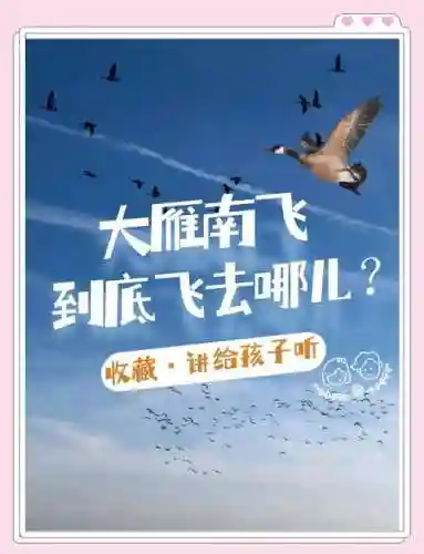 雁南飞攻略，雁南飞介绍插图1